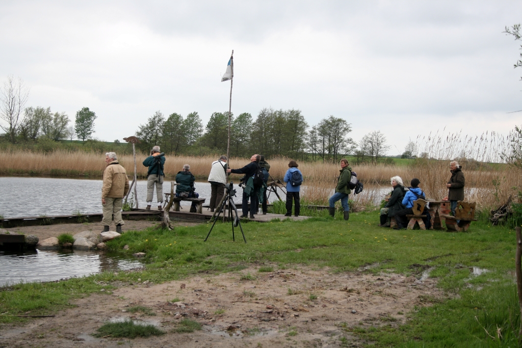 VWG vogelreis Oost Duitsland mei 2010 346